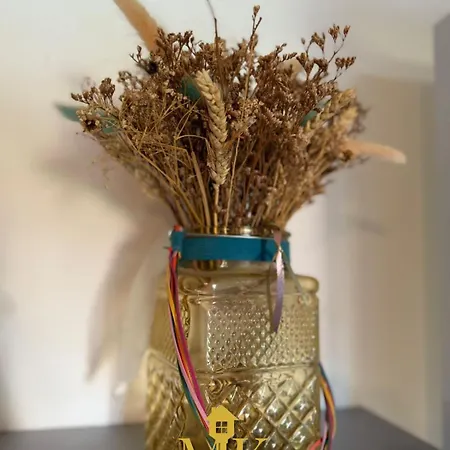 Διαμέρισμα T2 Cosy Grand Salon, Wifi, Netflix *